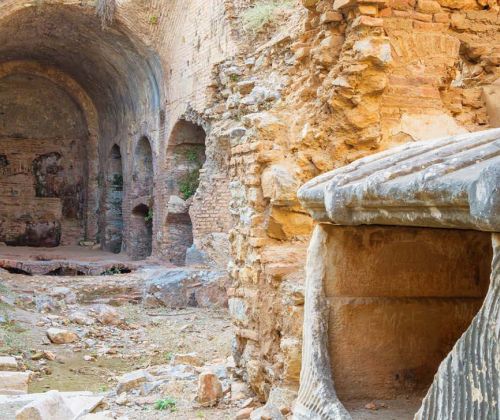 Compañeros de la Cueva