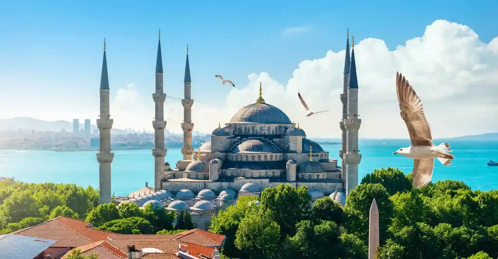 Excursiones En Turquia Estambul